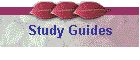 Study Guides